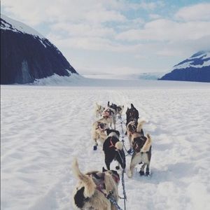 Meet your Posher, April